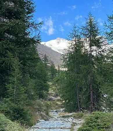 Apartamento Petit Bijou - Corbet - Monolocale Con Divano Letto In - Massimo 3 Persone